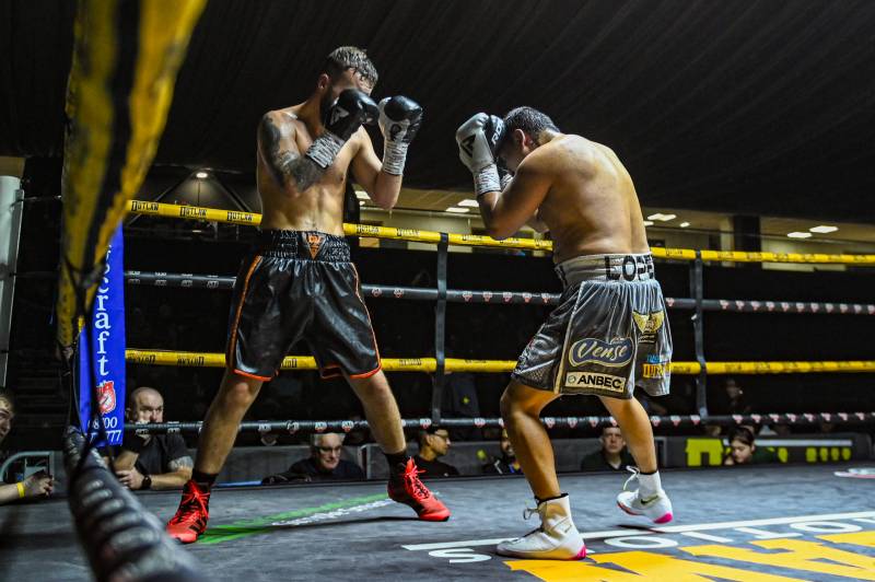 Image for Boxing action at the Metrodome