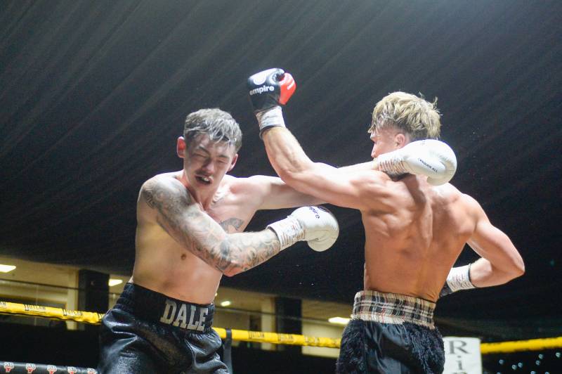 Image for Boxing action at the Metrodome