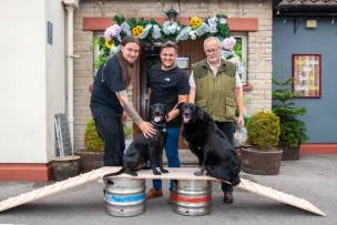 Main image for Dogs take lead to raise cash for defibrillator