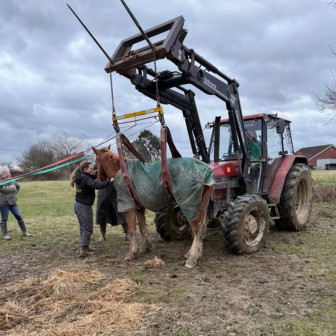 Main image for Fire crew to the rescue at horse sanctuary