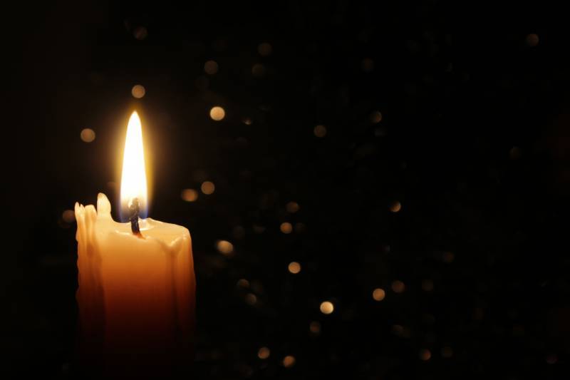 Main image for Online ceremony for Holocaust Memorial Day