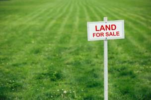 Main image for Auction land has 'employment development potential'