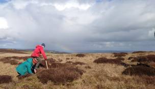 Main image for Hardy volunteers take to the hills to restore moorlands
