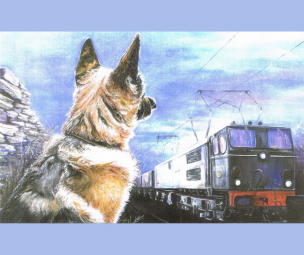 Main image for Memories of The Lost Railway re-lived