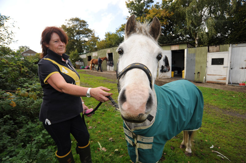 Main image for Pony Owner Warns Others To Stay On Their Guard