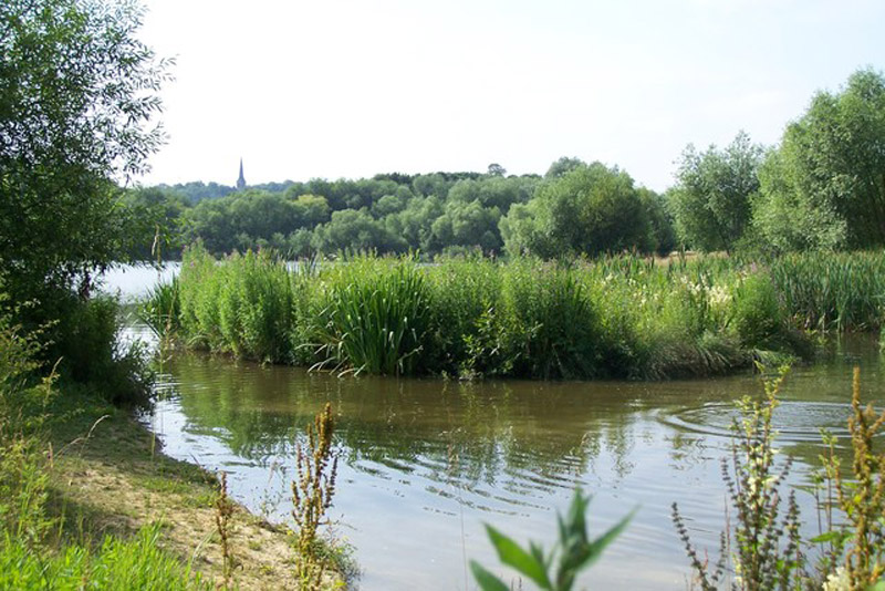 Main image for Elsecar park and nature reserve awarded Green Flag