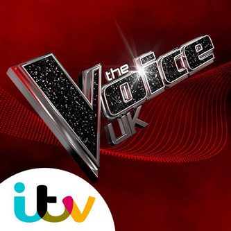 Main image for The Voice auditions coming to Newmillerdam