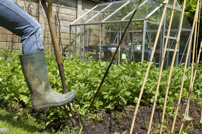 Main image for Rents Rise For Barnsley Allotment Holders After Huge Water Bill