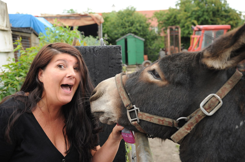 Main image for Council Issues Statement After Donkey Welfare Concerns